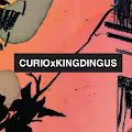 CurioXKingDingus cover (38 supply remix)